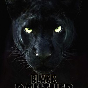 Black panther 2024 online streaming india