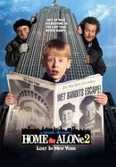 Home Alone 2: Lost in New York poster image