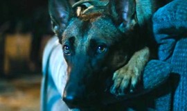 Dog: Official Clip - Scared of Storms