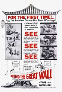 Poster for Behind the Great Wall