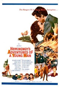 映画チラシ 青年 ADVENTURES OF A YOUNG MAN p2577_p_v8_aa.jpg