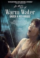 Warm Water Under a Red Bridge poster image