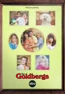 The Goldbergs poster image