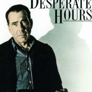 The Desperate Hours (1955) photo 7