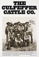 The Culpepper Cattle Company poster image