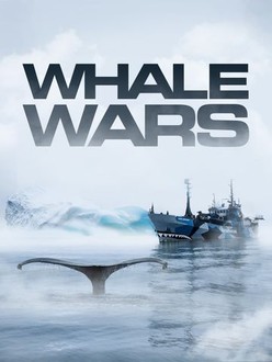Whale Wars | Rotten Tomatoes