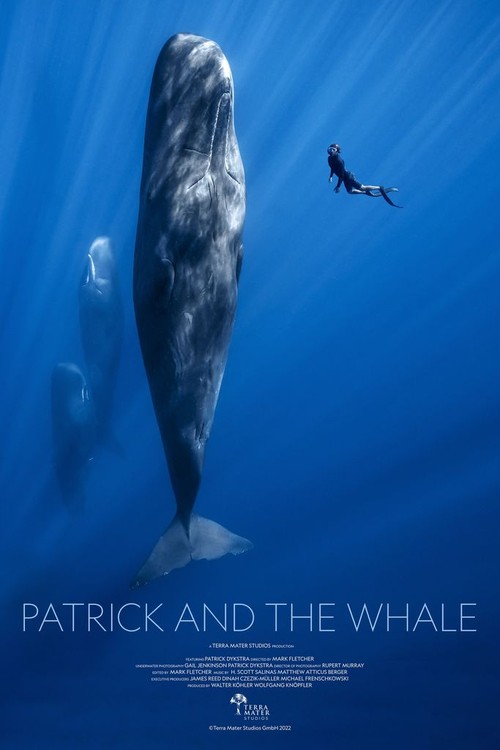 Patrick and the Whale poster