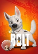 Bolt poster image