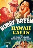 Hawaii Calls poster image