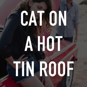 Cat on a Hot Tin Roof photo 2