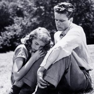 Teresa (1951) photo 4