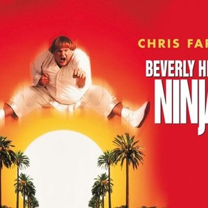 Beverly Hills Ninja photo 1