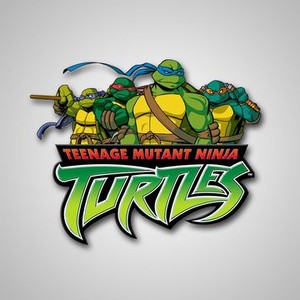 Donatello - Teenage Mutant Ninja Turtles – Snapping Turtle Gallery