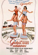 Gidget Goes Hawaiian poster image