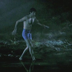 Friday the 13th: The Final Chapter (Film) - TV Tropes