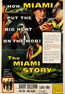 The Miami Story poster image