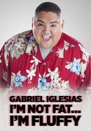 Gabriel Iglesias: I'm Not Fat... I'm Fluffy poster image