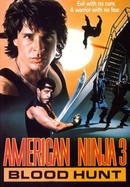 American Ninja 3: Blood Hunt poster image