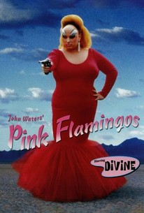 ピンク・フラミンゴ / Pink Flamingos
