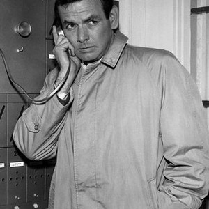 The Fugitive