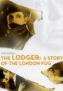 The Lodger poster image