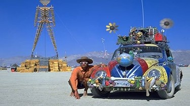 Wild Wheels | Rotten Tomatoes