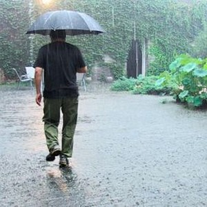 AI WEIWEI: THE FAKE CASE, AI Weiwei, 2013. ©International Film Circuit