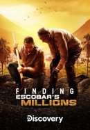 Finding Escobar's Millions poster image