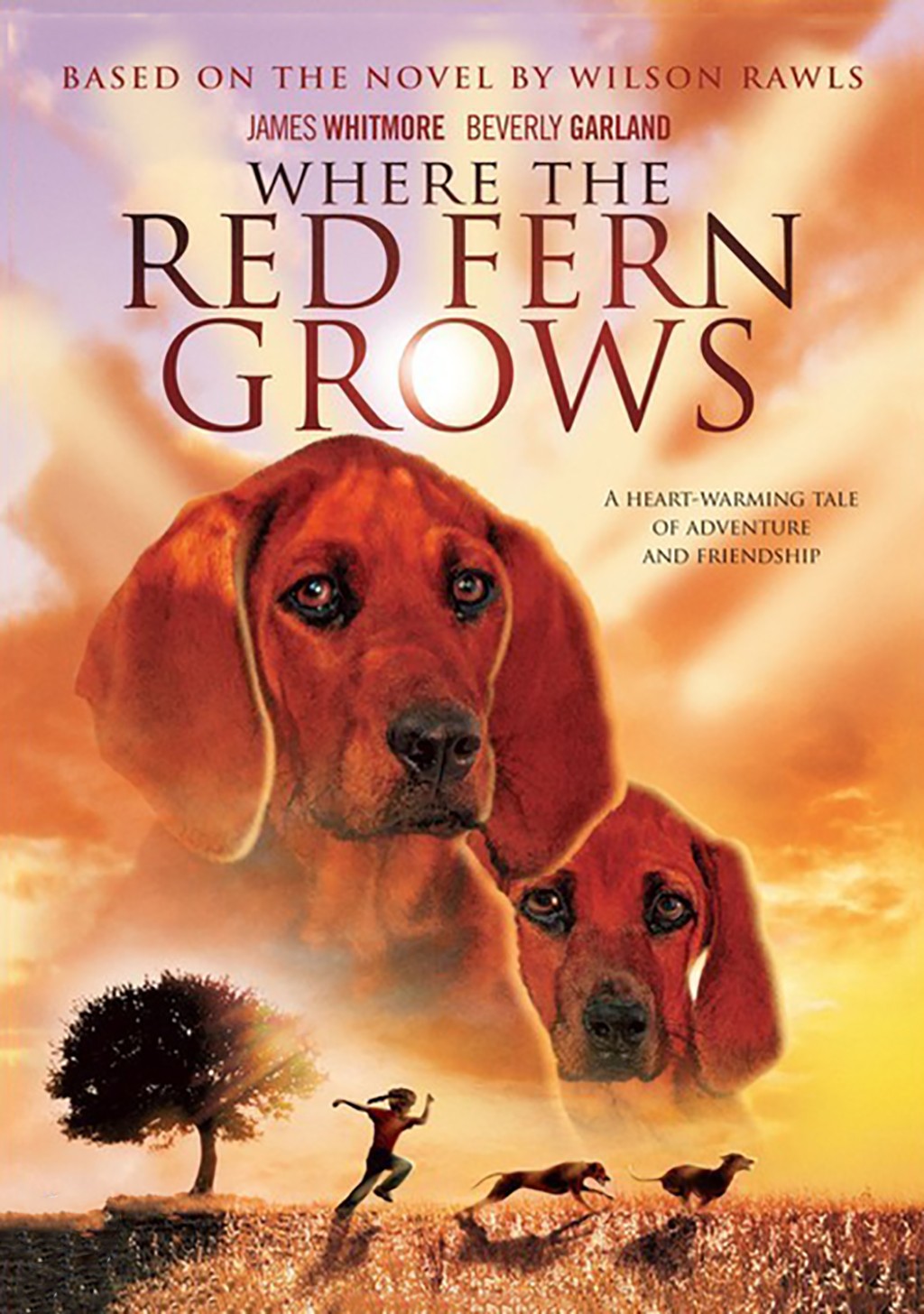 how much did billy pay for his dogs in where the red fern grows