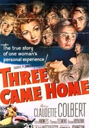 Three Came Home poster image
