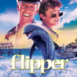 Flipper photo 6