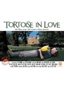 Tortoise in Love poster image