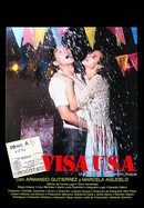 Visa USA poster image