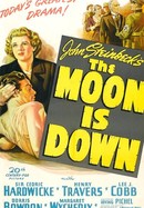 The Moon Is Down poster image