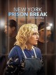 New York Prison Break: The Seduction of Joyce Mitchell