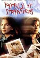 A Family of Strangers poster image