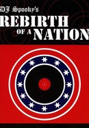 Rebirth of a Nation poster image