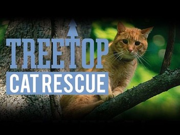 Treetop Cat Rescue Season 1 Rotten Tomatoes