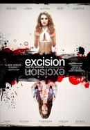 Excision poster image
