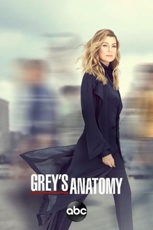 Grey's anatomy season 15 episode 11 hotsell watch series