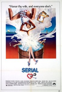 Serial poster