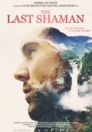 The Last Shaman poster image