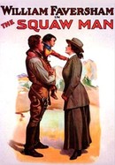 The Squaw Man poster image