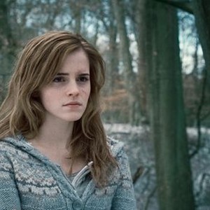 Movie 7, part 1 — 'Harry Potter and the Deathly Hallows:' good film with  weak ending – The Mercury News