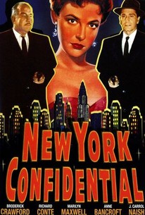 洋楽 N.Y. Confidential / N.Y. Confidential N.Y. Confidential / N.Y. Confidential