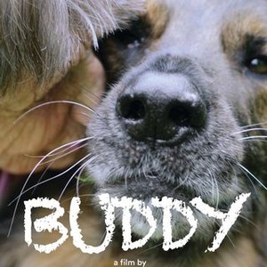 Buddy (2019)