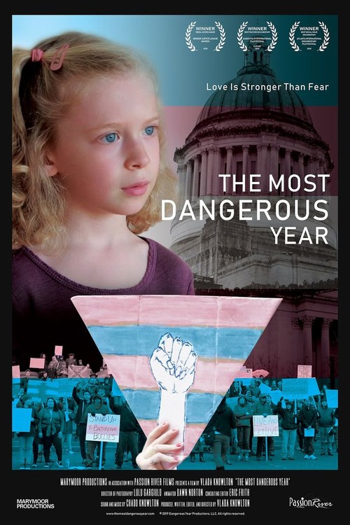 The Most Dangerous Year poster