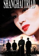 Shanghai Triad poster image