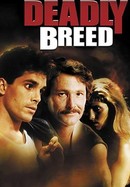 Deadly Breed poster image