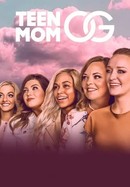 Teen Mom poster image